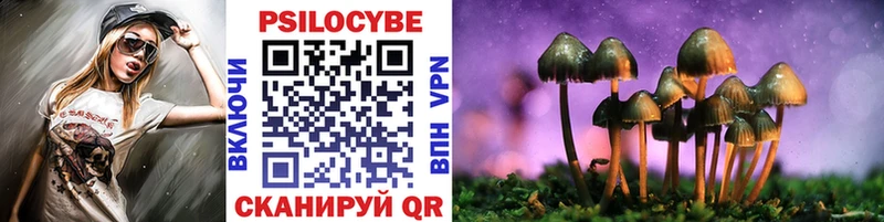 цена   Белинский  даркнет формула  Псилоцибиновые грибы GOLDEN TEACHER 